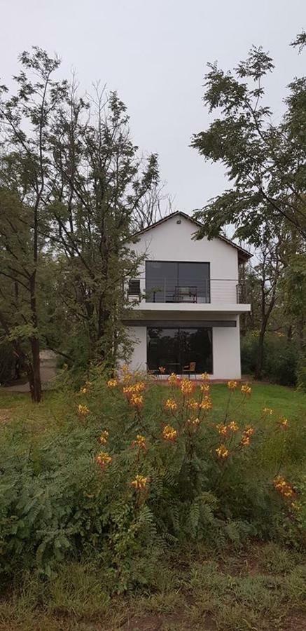 The Willows Guesthouse Bloemfontein Zewnętrze zdjęcie